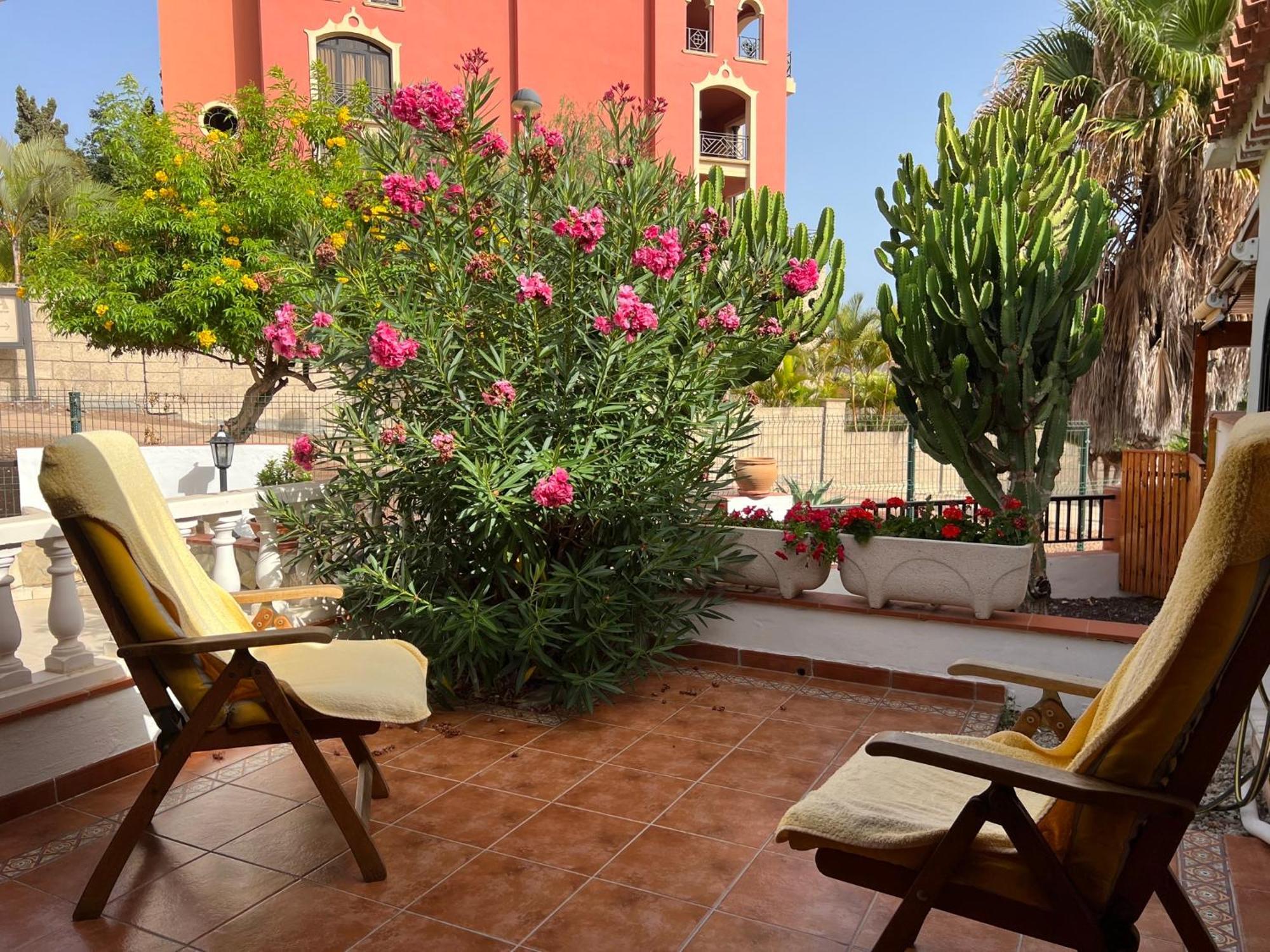 Cactus'S House, 150 M Beach, 1 Bdr, 4 Guests, Wifi, Netflix, Адехе Екстер'єр фото