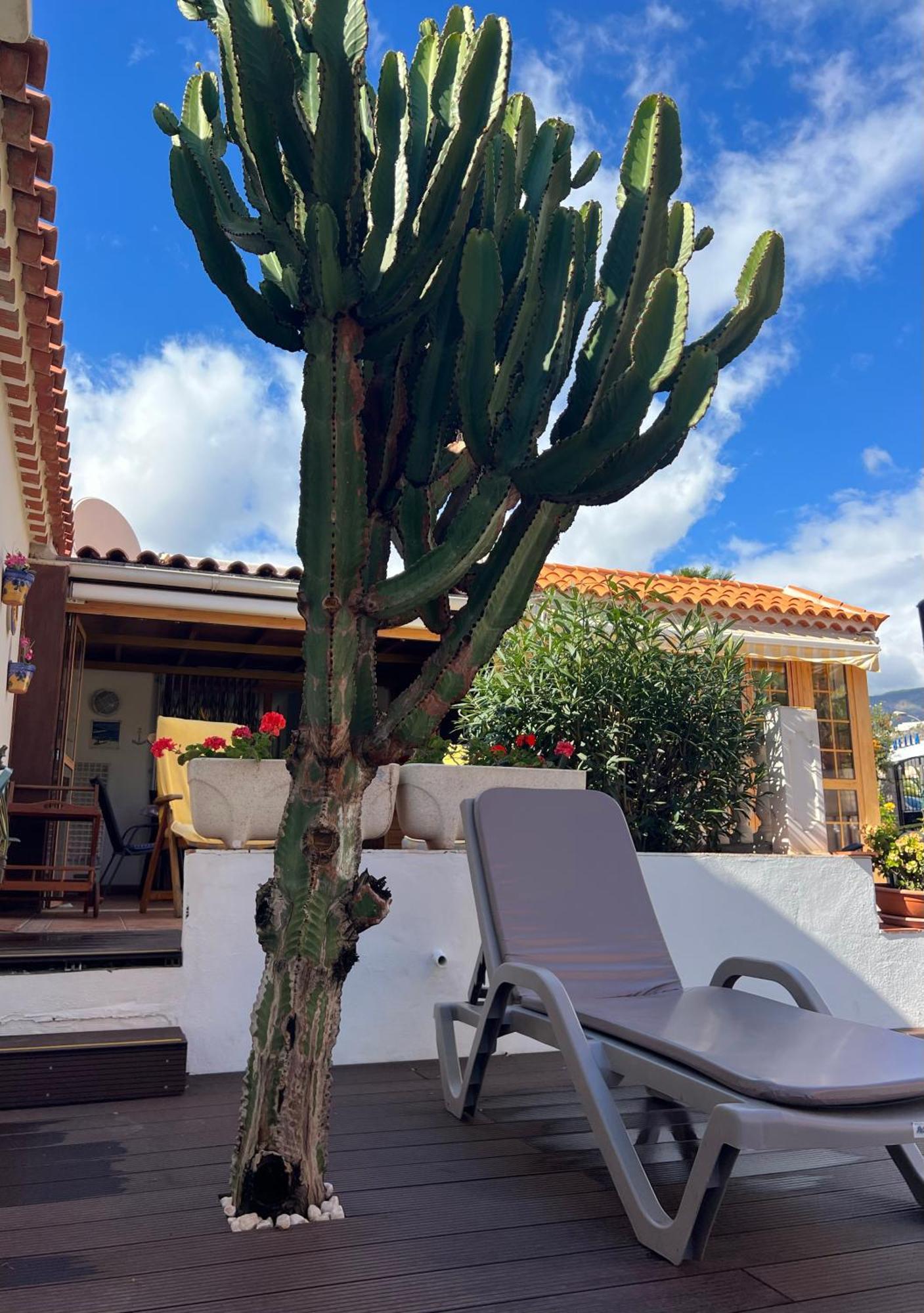 Cactus'S House, 150 M Beach, 1 Bdr, 4 Guests, Wifi, Netflix, Адехе Екстер'єр фото